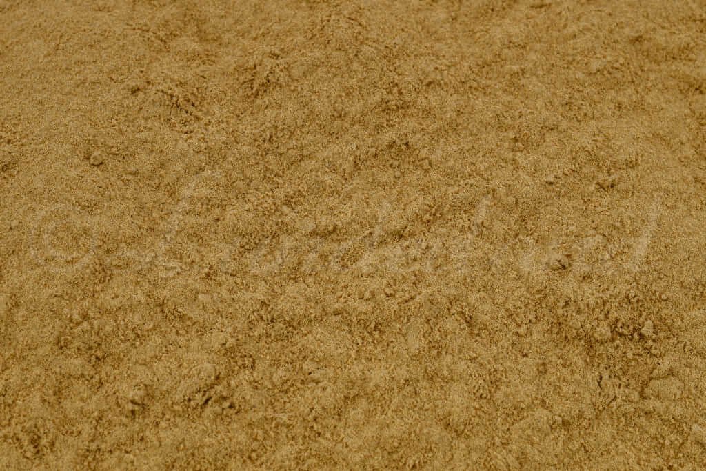 Lunderland - Grünlippmuschelpulver