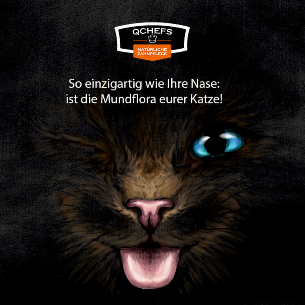 Zahnputzflocken Katze