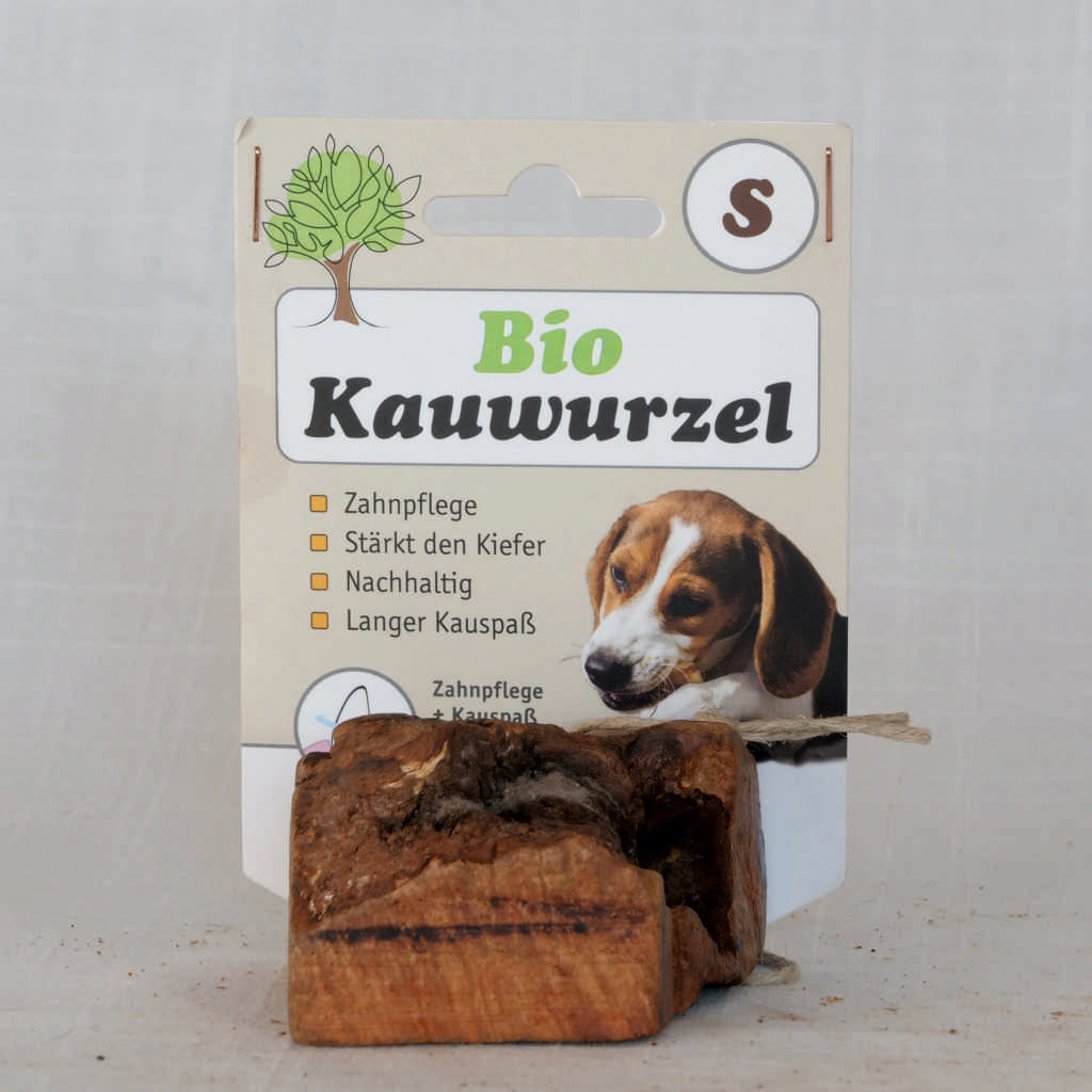 Kauwurzel