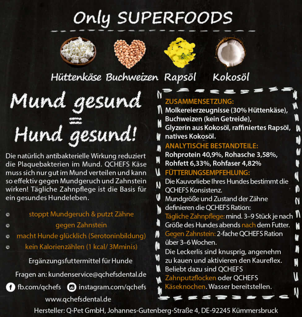 Mminis Hund