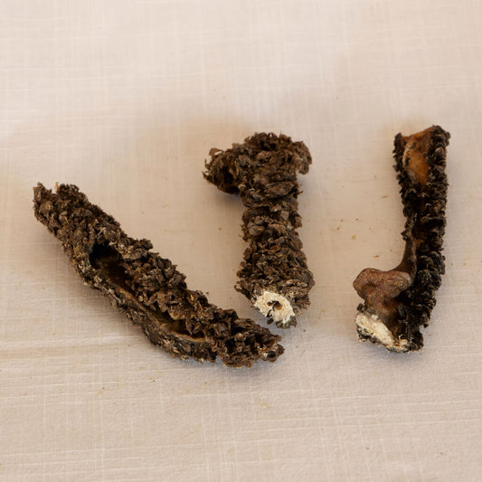 Rinder-Pansen premium