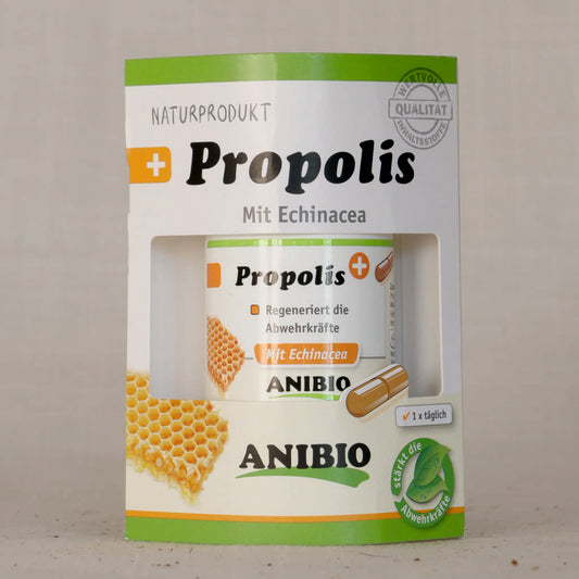 Propolis-Kapseln - Mit Echinacea