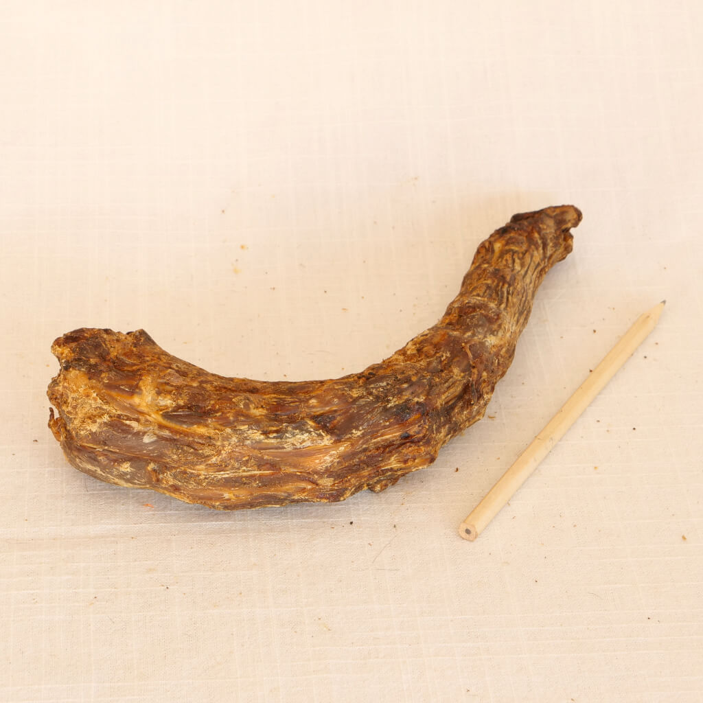 Putenhälse