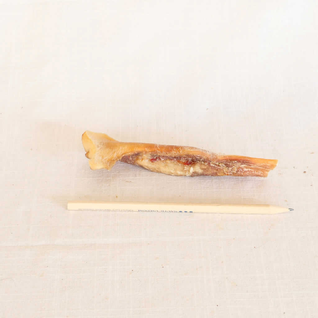 Rinderkopfhaut kurz 8-12cm