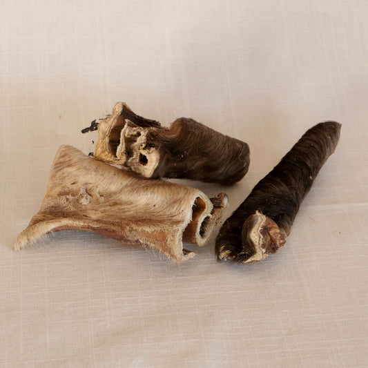 Rinderkopfhaut mit Fell