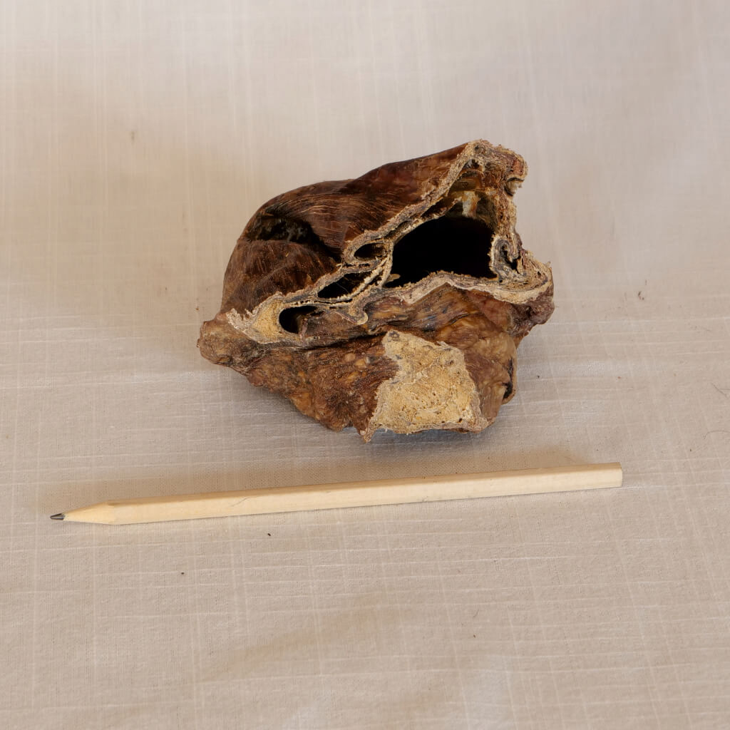 Rinder-Lunge Premium