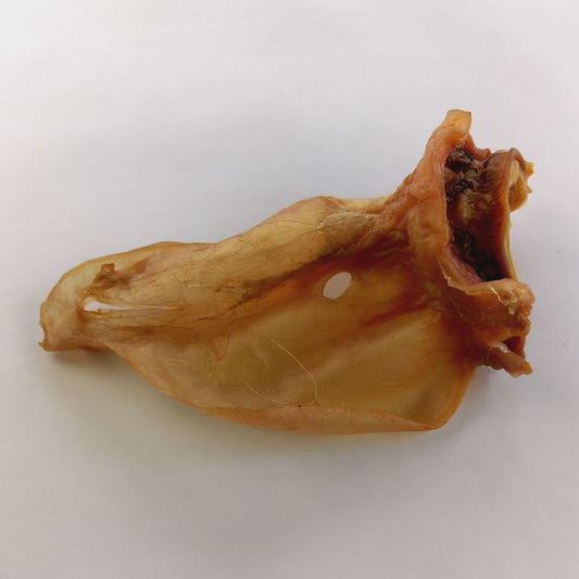 Rinderohren ohne Muschel