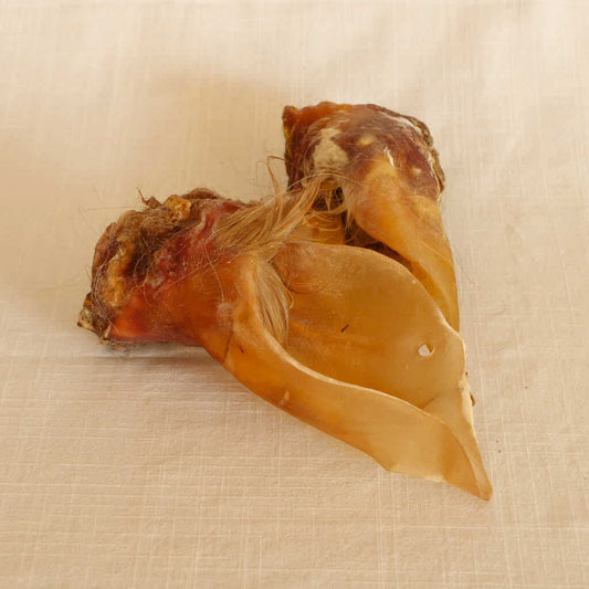 Premium Rinder-Ohr mit Muschel